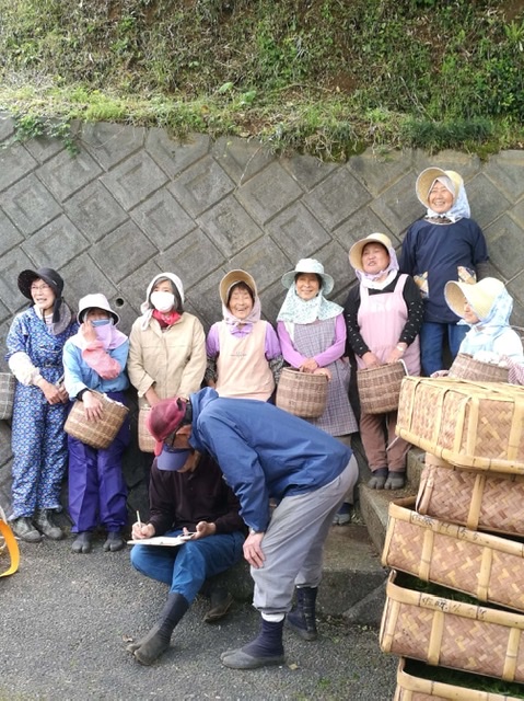 Tea picking women in Shizuoka. We support tea farmers as members of the tea community.