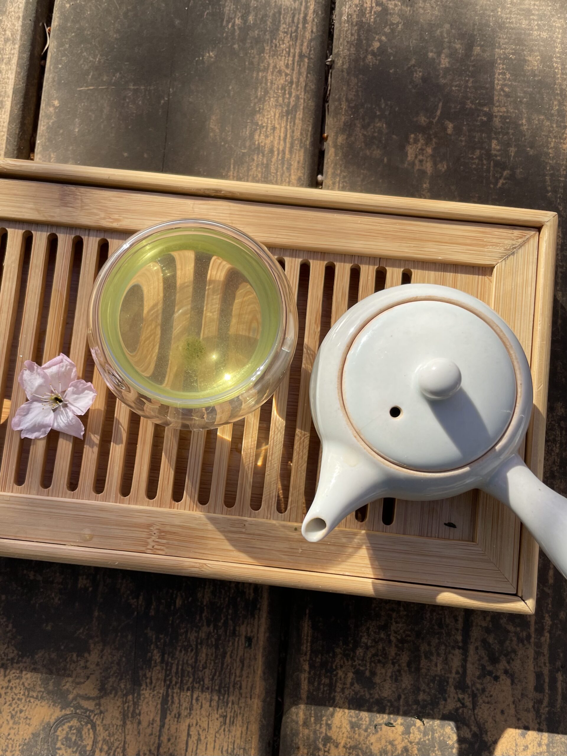 Shincha Box 2026 – Refined Selection of First Flush Japanese Green Teas from Shizuoka and Yame - Image 4