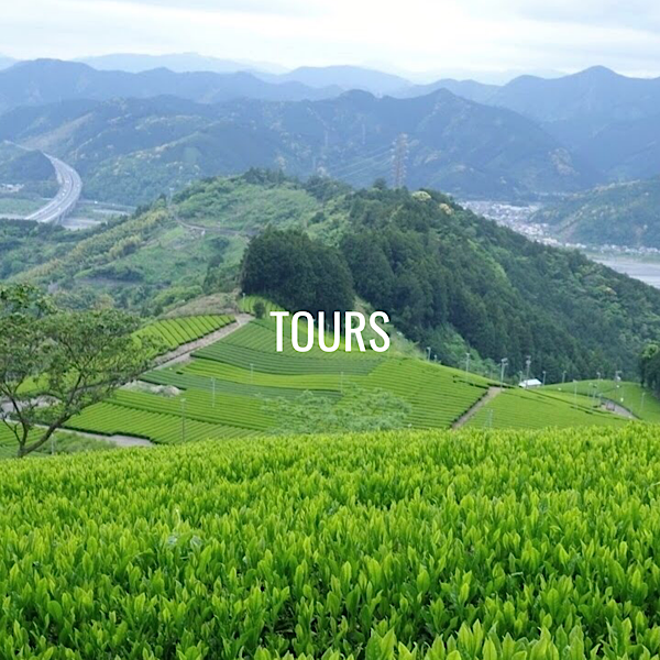 Tea-Farm-Tours-Shizuoka-Tokyo-Japan Exclusive Tea Farm Tours in Shizuoka and Tokyo, Japan