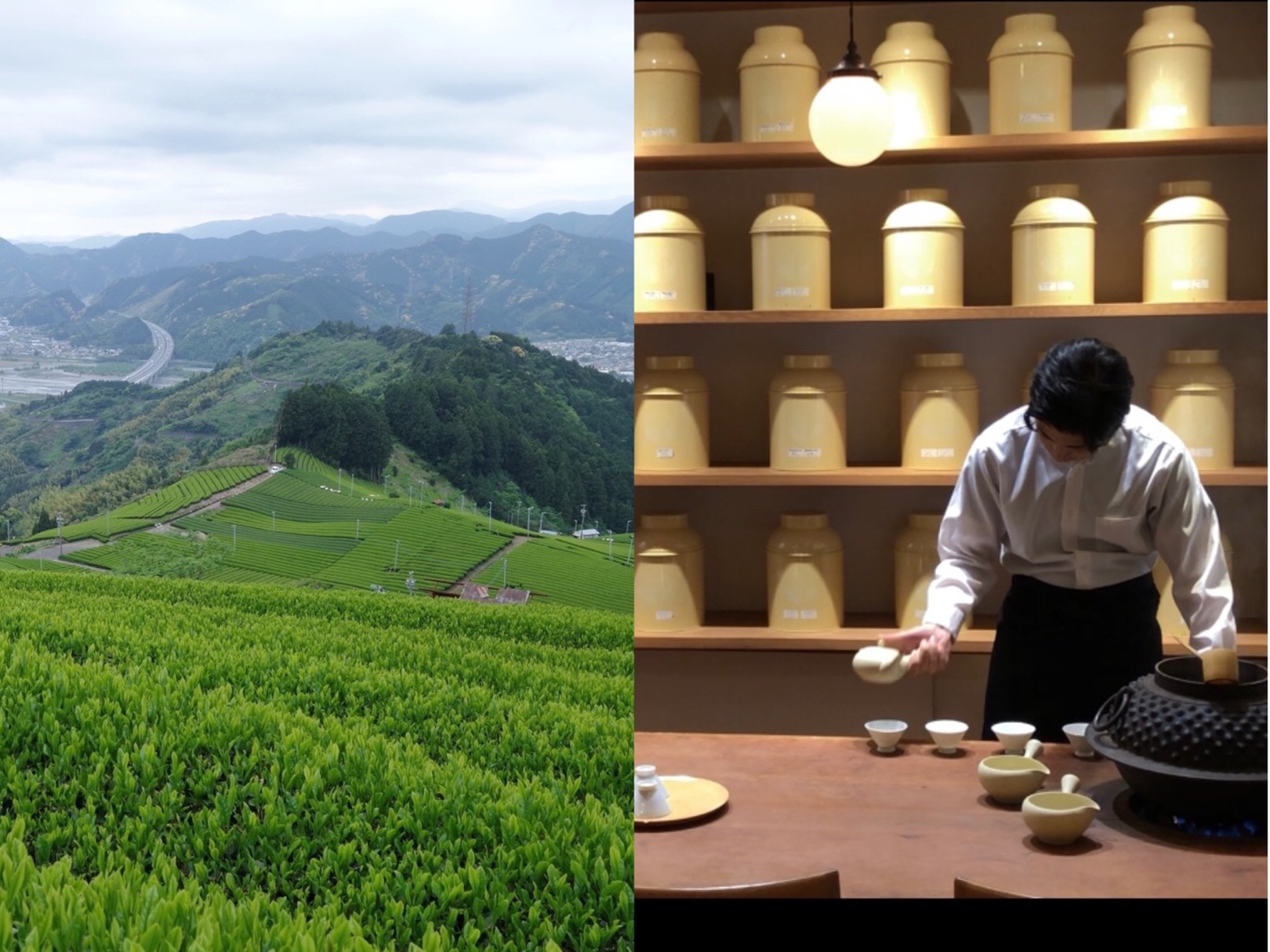 Hidden Gem Tea Farm and Stylish Tea Cafe Tours in Shizuoka near Tokyo, Japan Hidden Gem Tea Farm and Tea Cafe Tour in Shizuoka located in between Tokyo and Kyoto. Beautiful tea plantations, matcha ice creme.