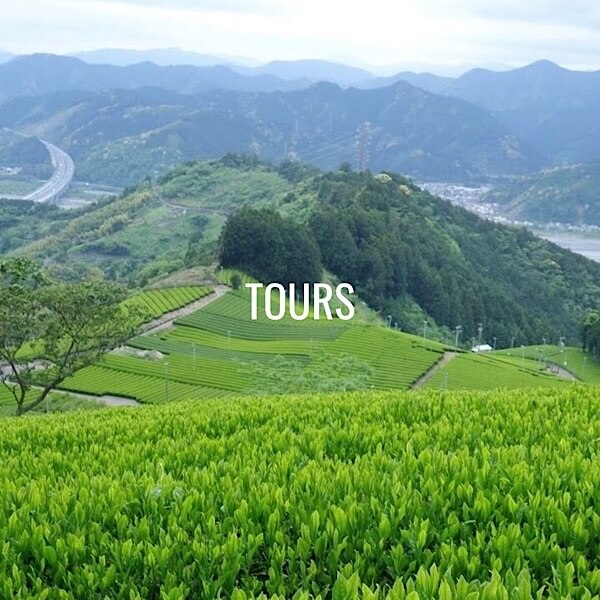 Hidden Gem Tea Farm Tour in Shizuoka located in between Tokyo and Kyoto. Beautiful tea plantations. A day trip from Tokyo.