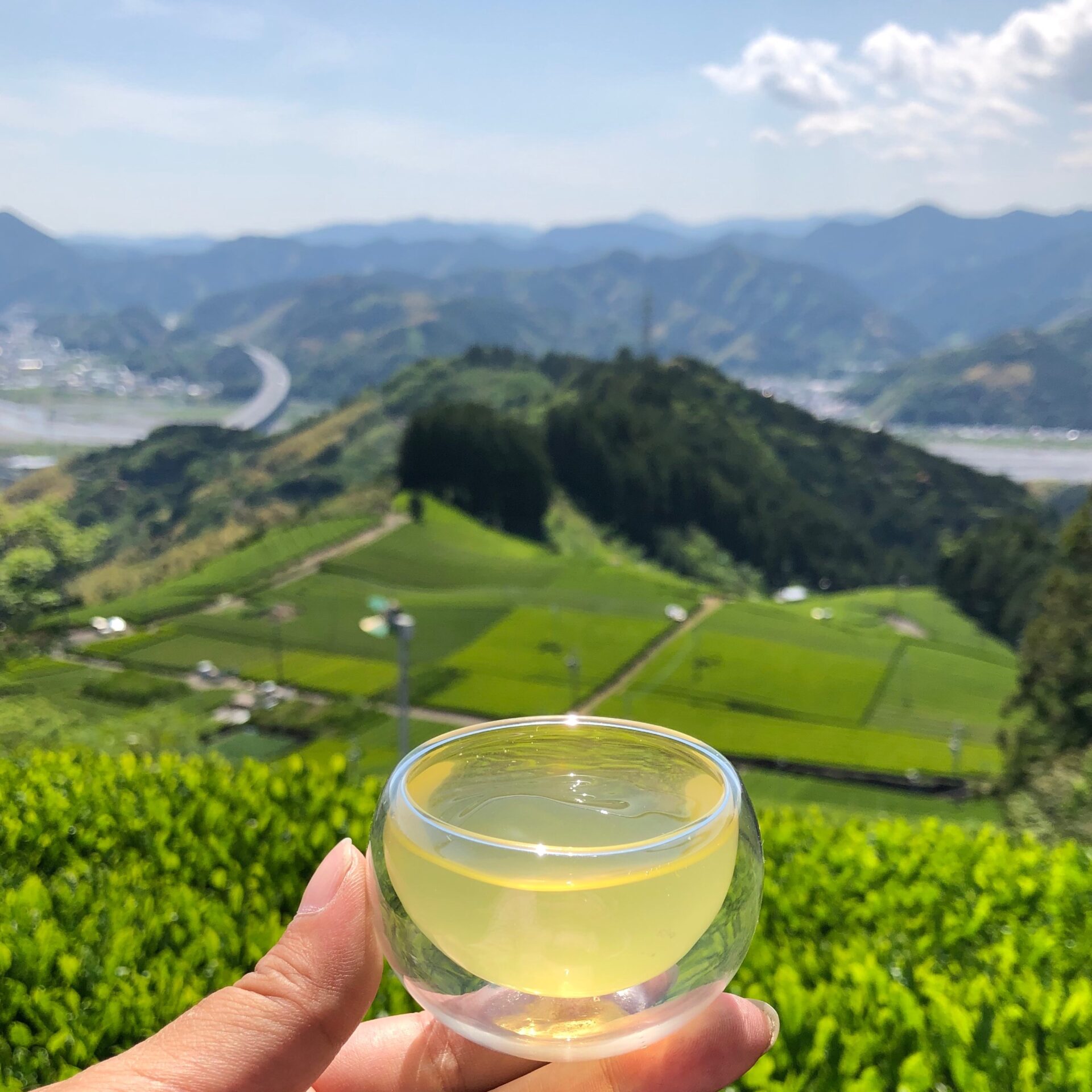 Shincha Box 2026 – Refined Selection of First Flush Japanese Green Teas from Shizuoka and Yame - Image 3