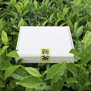 Shincha Box 2026 – Refined Selection of First Flush Japanese Green Teas from Shizuoka and Yame